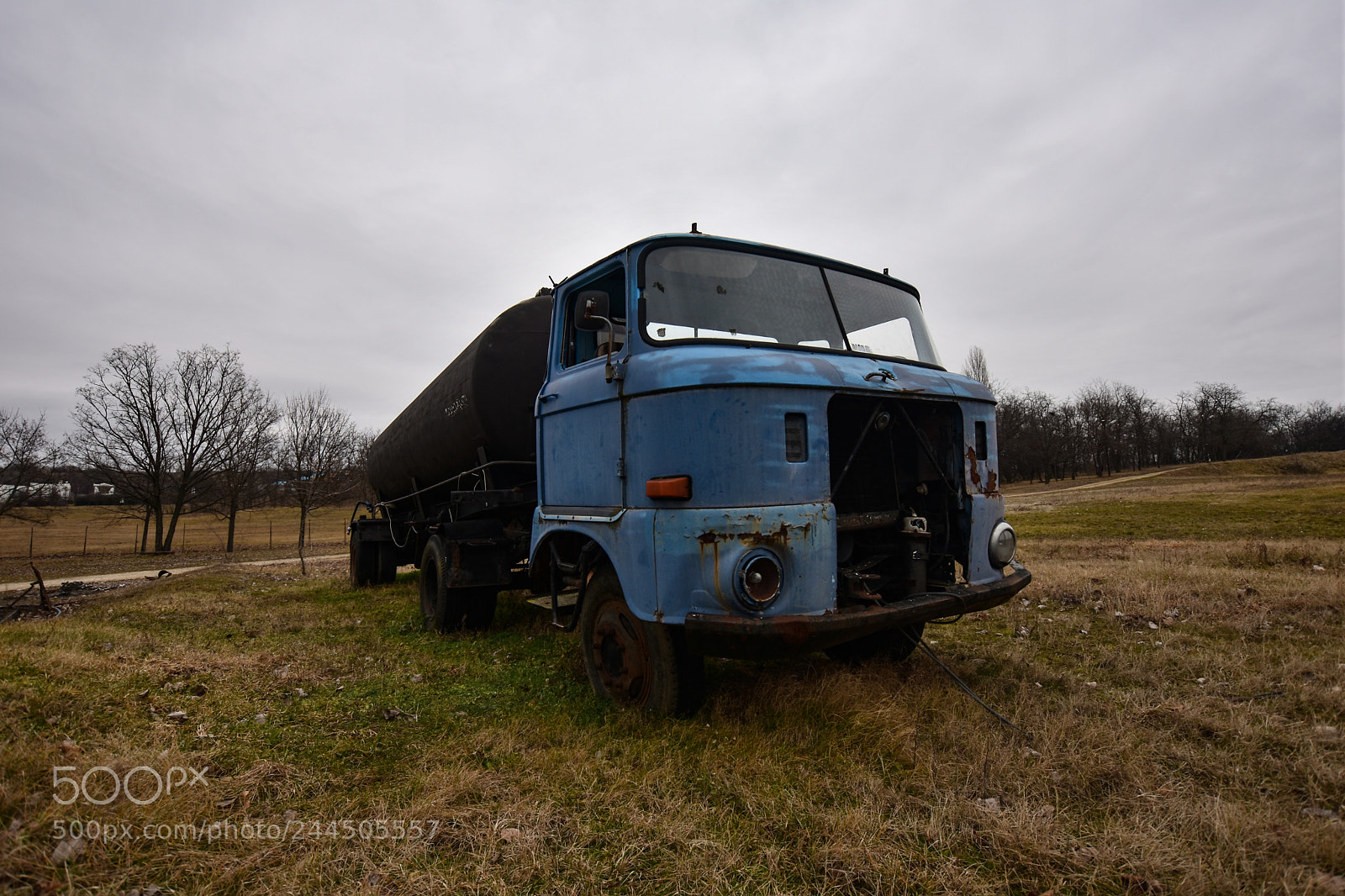 Nikon D7200 sample photo. Untitled photography