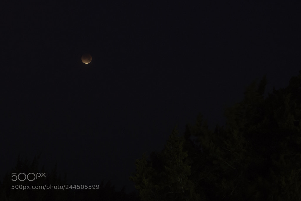 Canon EOS 700D (EOS Rebel T5i / EOS Kiss X7i) sample photo. That bloody moon photography