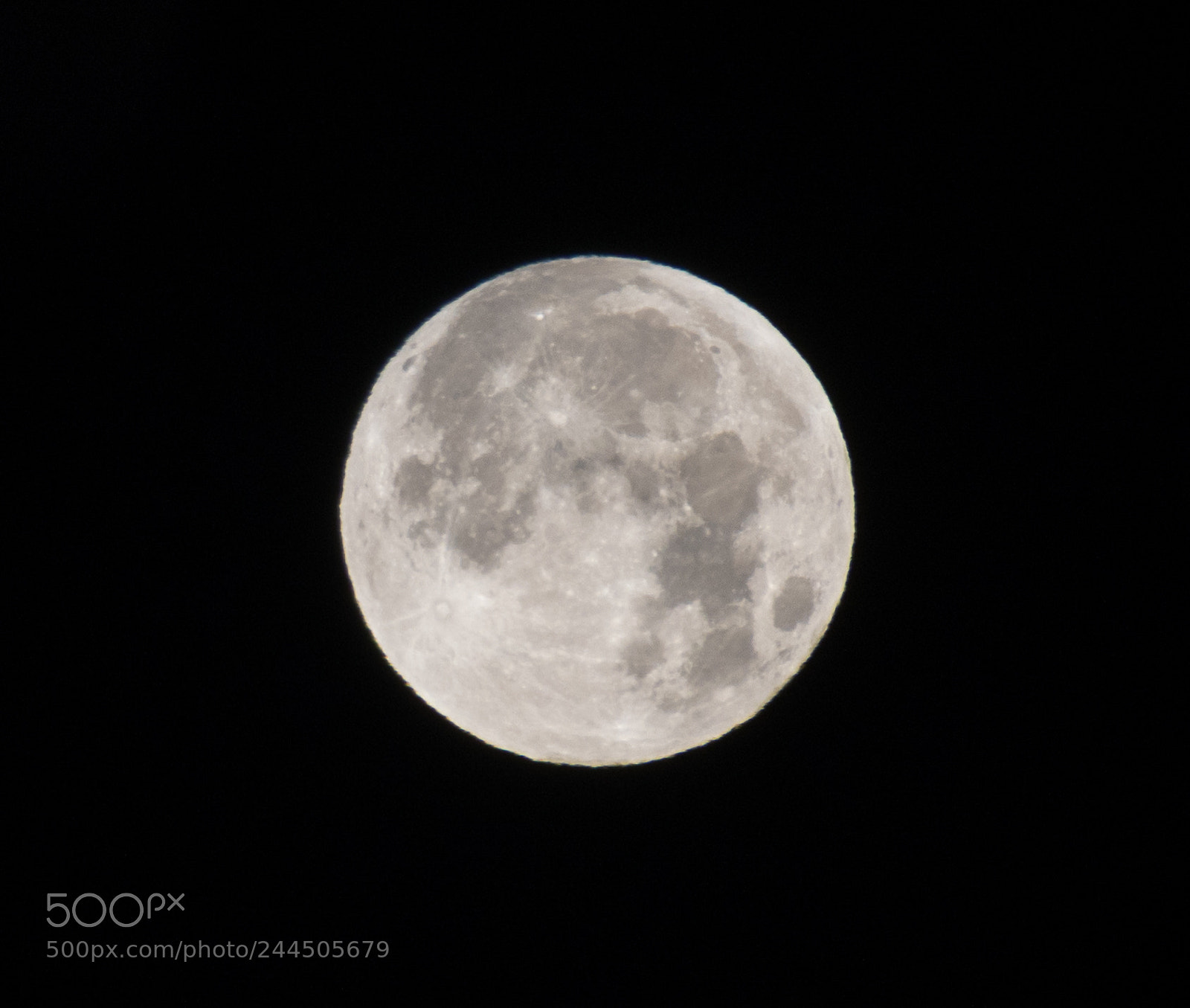 Nikon D5500 sample photo. Blue moon 2 photography