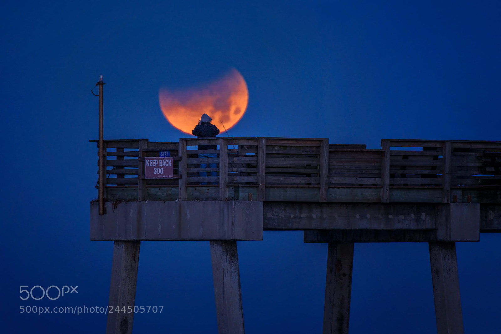 Nikon D850 sample photo. Fisherman on venice pier photography