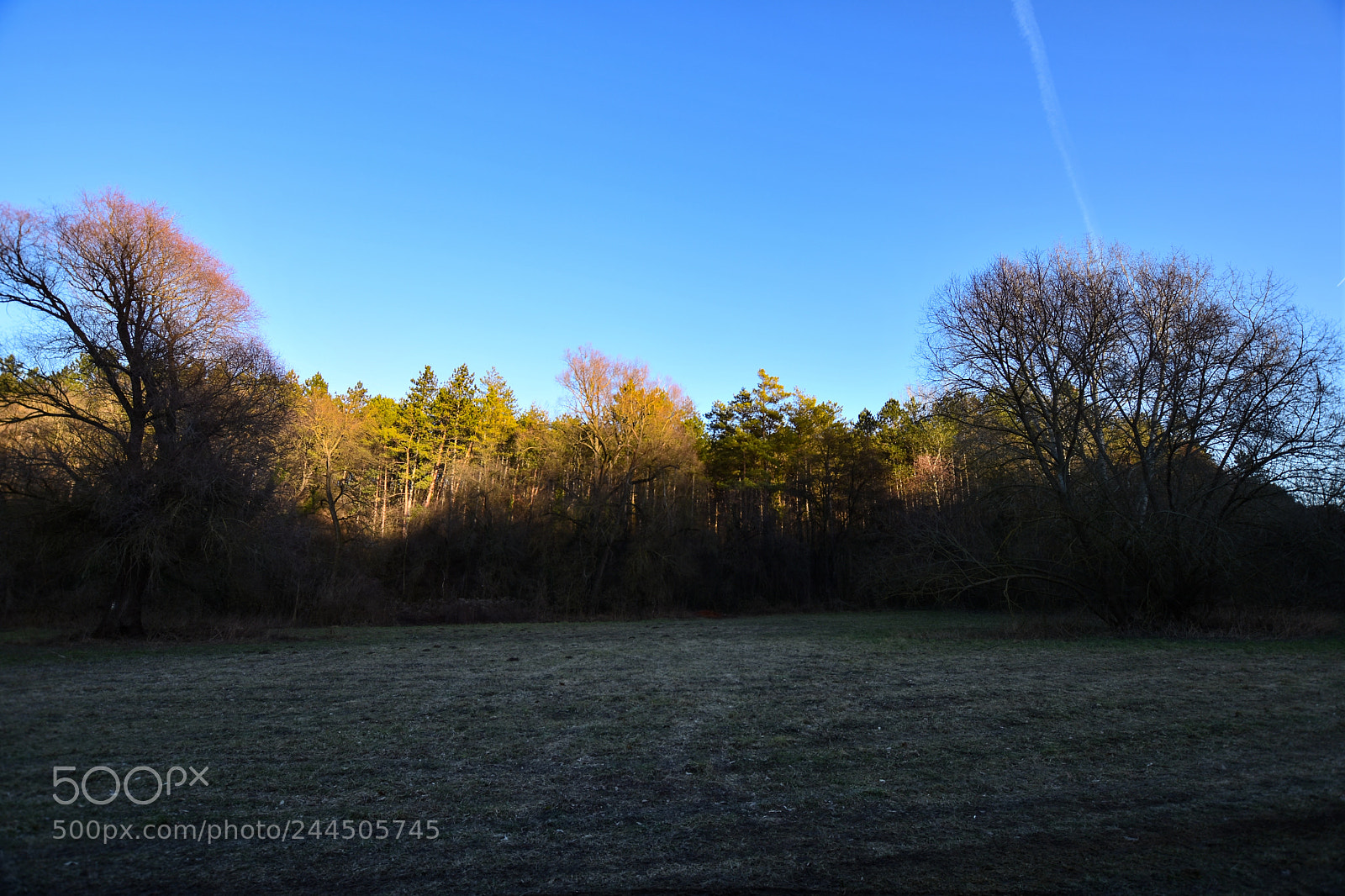 Nikon D7200 sample photo. Untitled photography