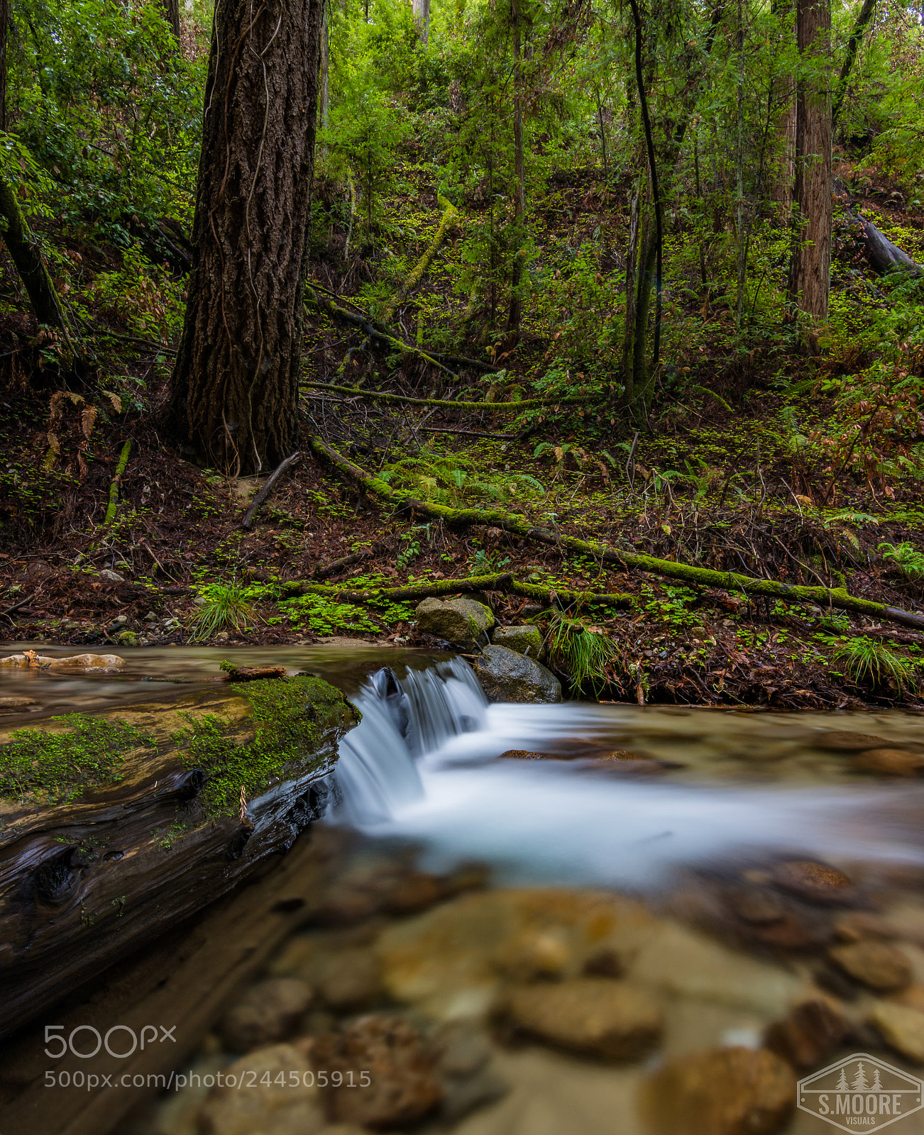 Nikon D7200 sample photo. Little waterfalls photography