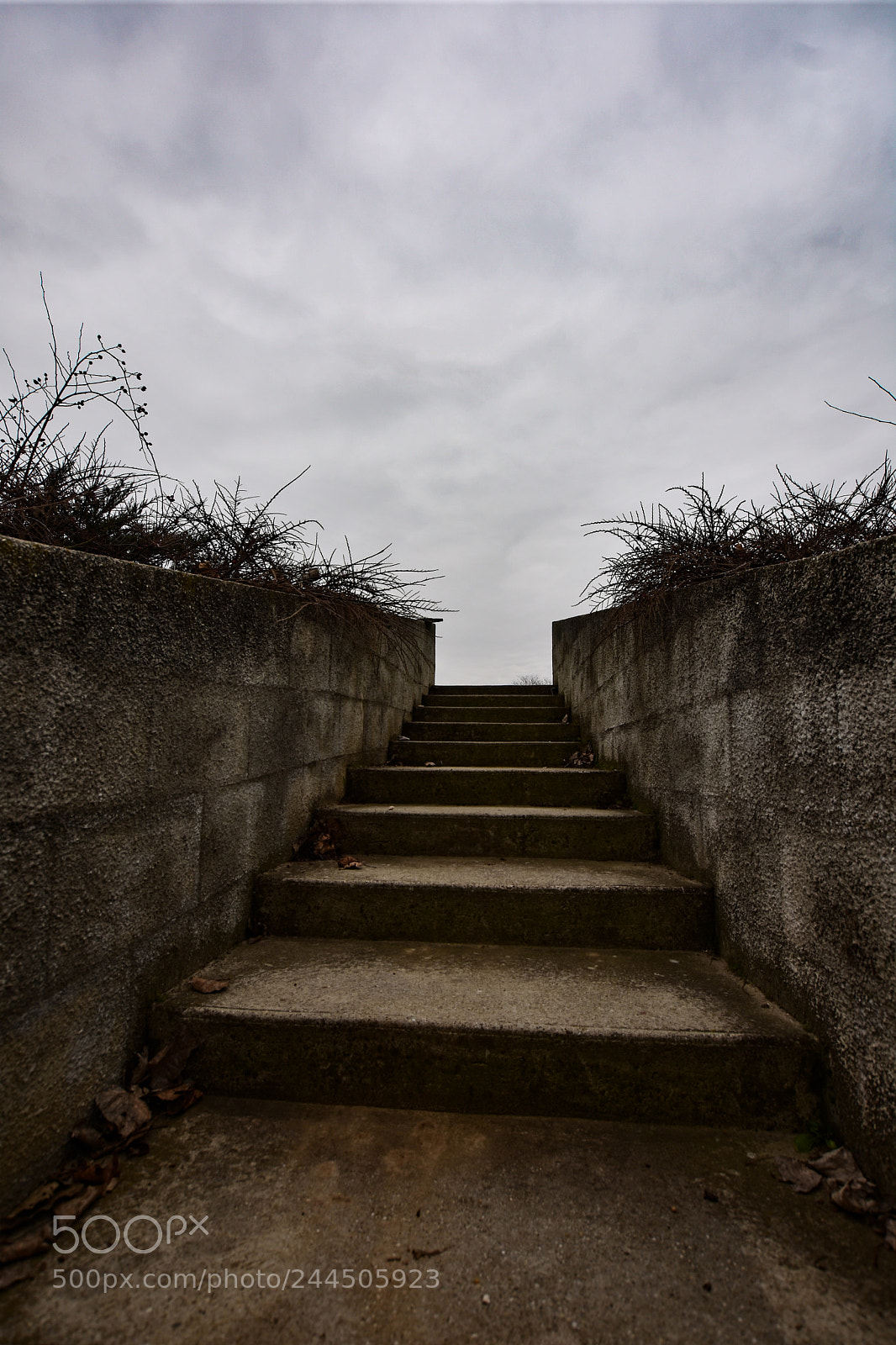 Nikon D7200 sample photo. Untitled photography