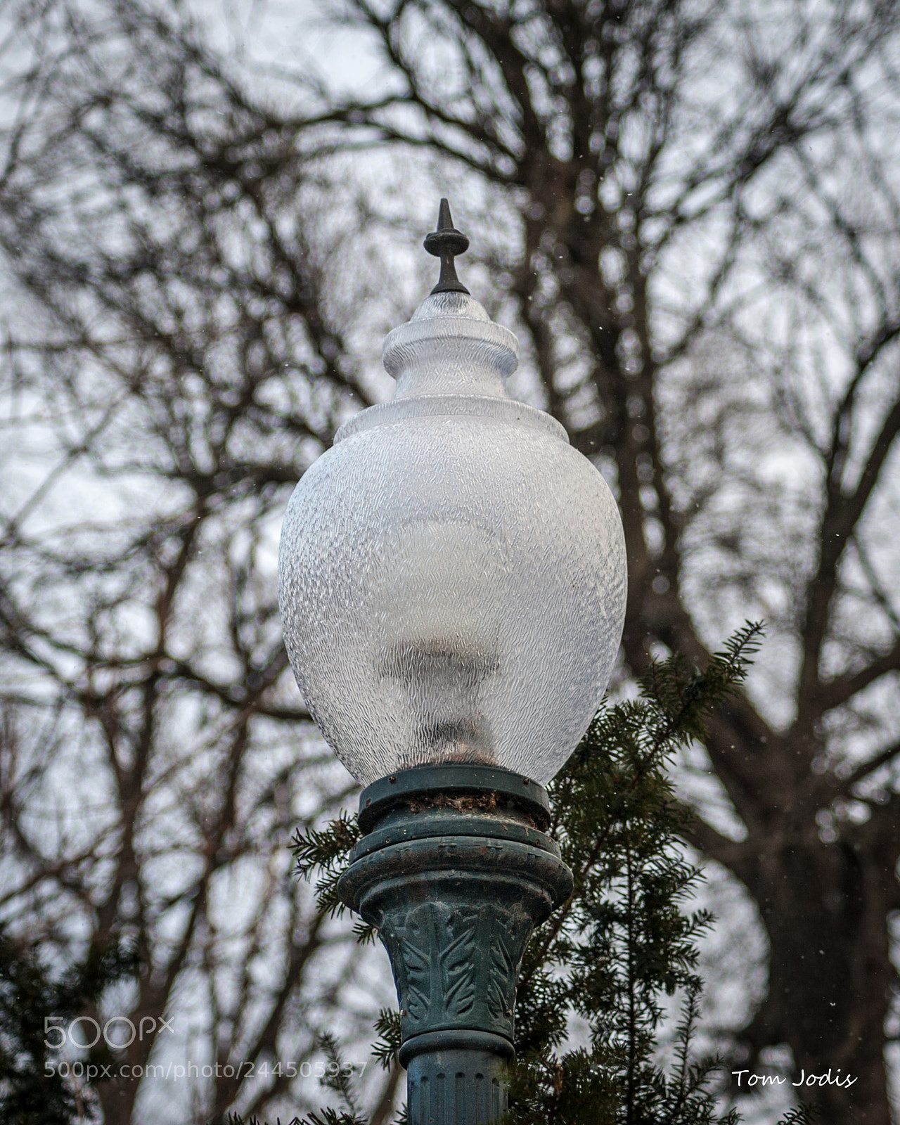Nikon D700 sample photo. Street light photography