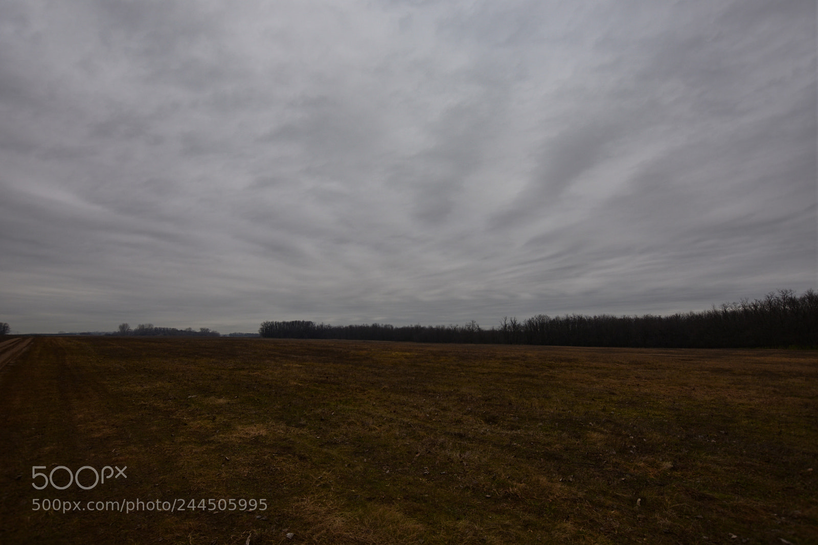 Nikon D7200 sample photo. Untitled photography