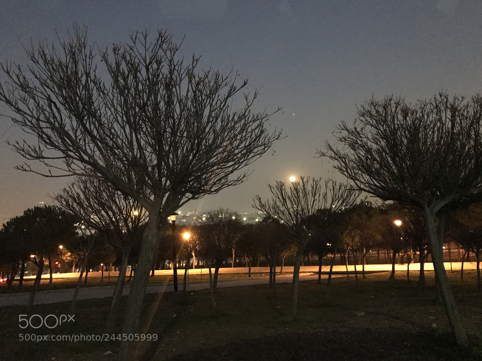 Apple iPhone 7 Plus sample photo. Amman photography