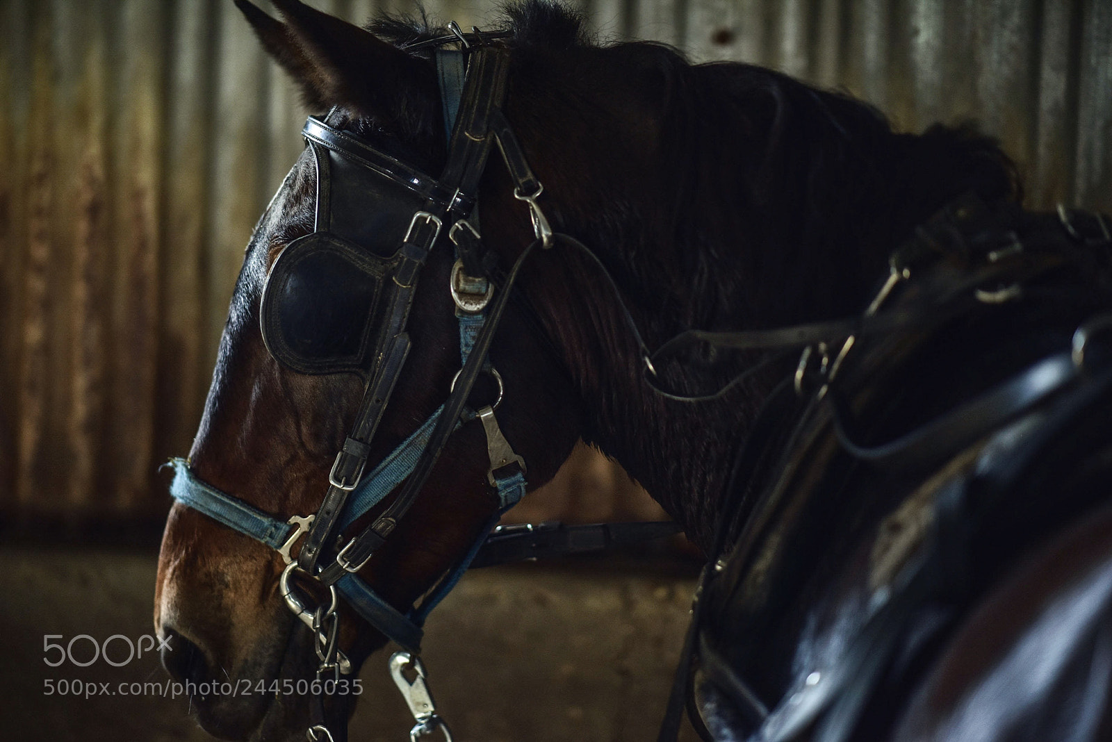 Nikon D810 sample photo. One of my best photography