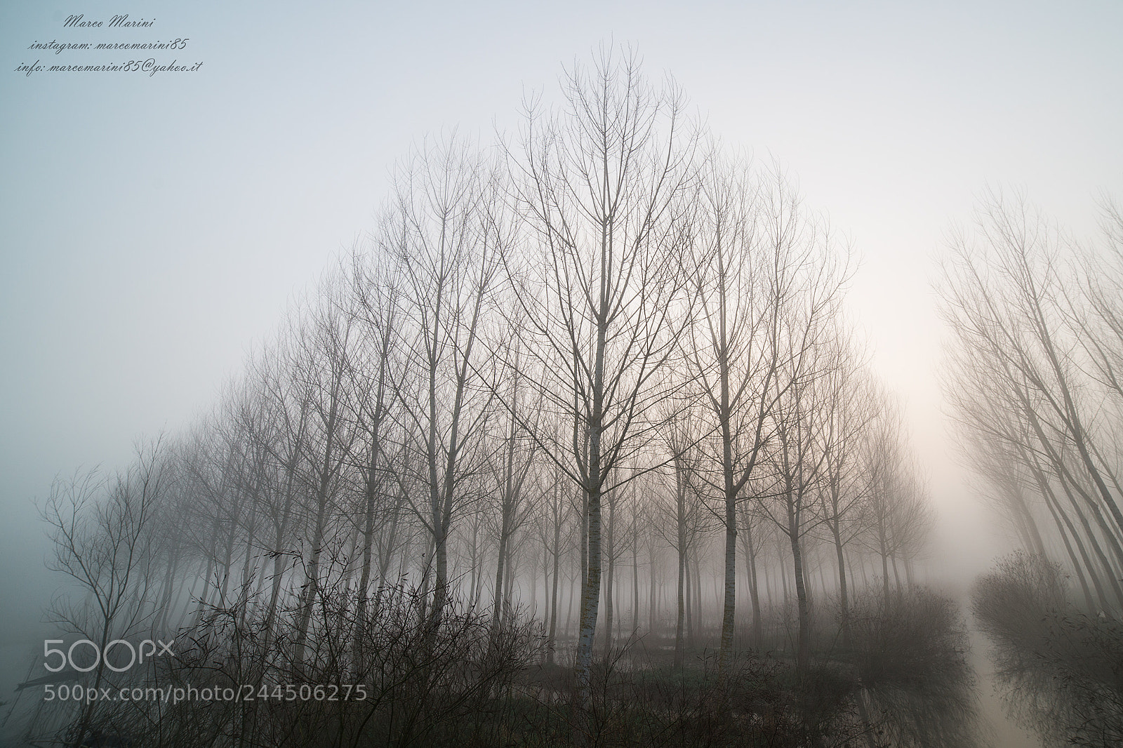 Nikon D600 sample photo. Landscpaes paesaggi padule web photography