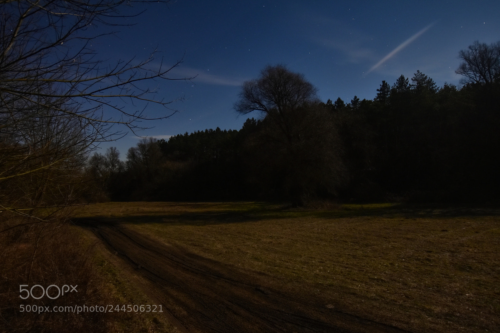 Nikon D7200 sample photo. Untitled photography