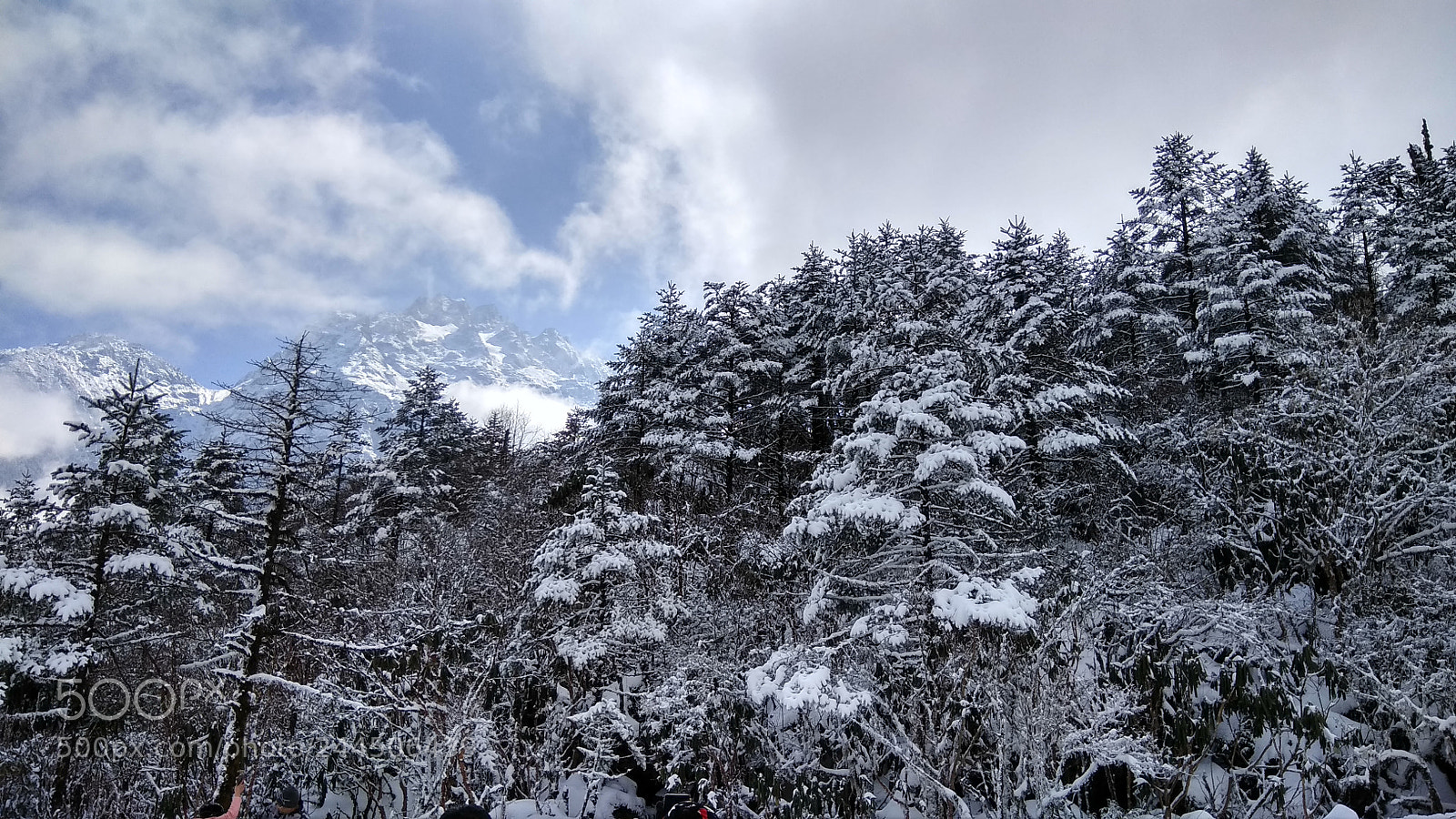 Xiaomi Redmi Note 4 sample photo. Winter season photography