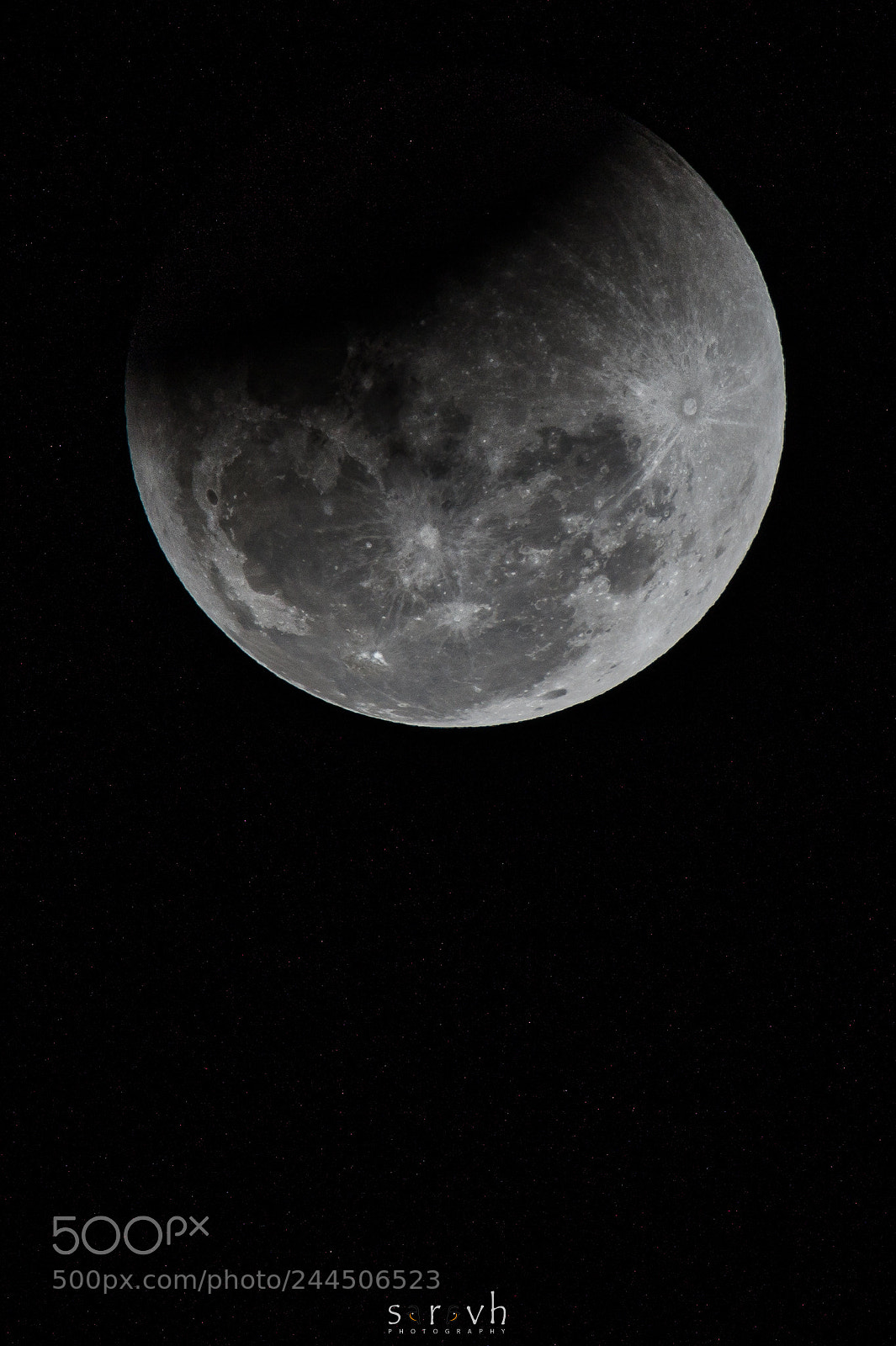 Sony SLT-A58 sample photo. Super blue blood moon photography