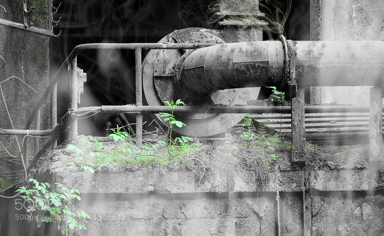 Nikon D5100 sample photo. Flanged photography