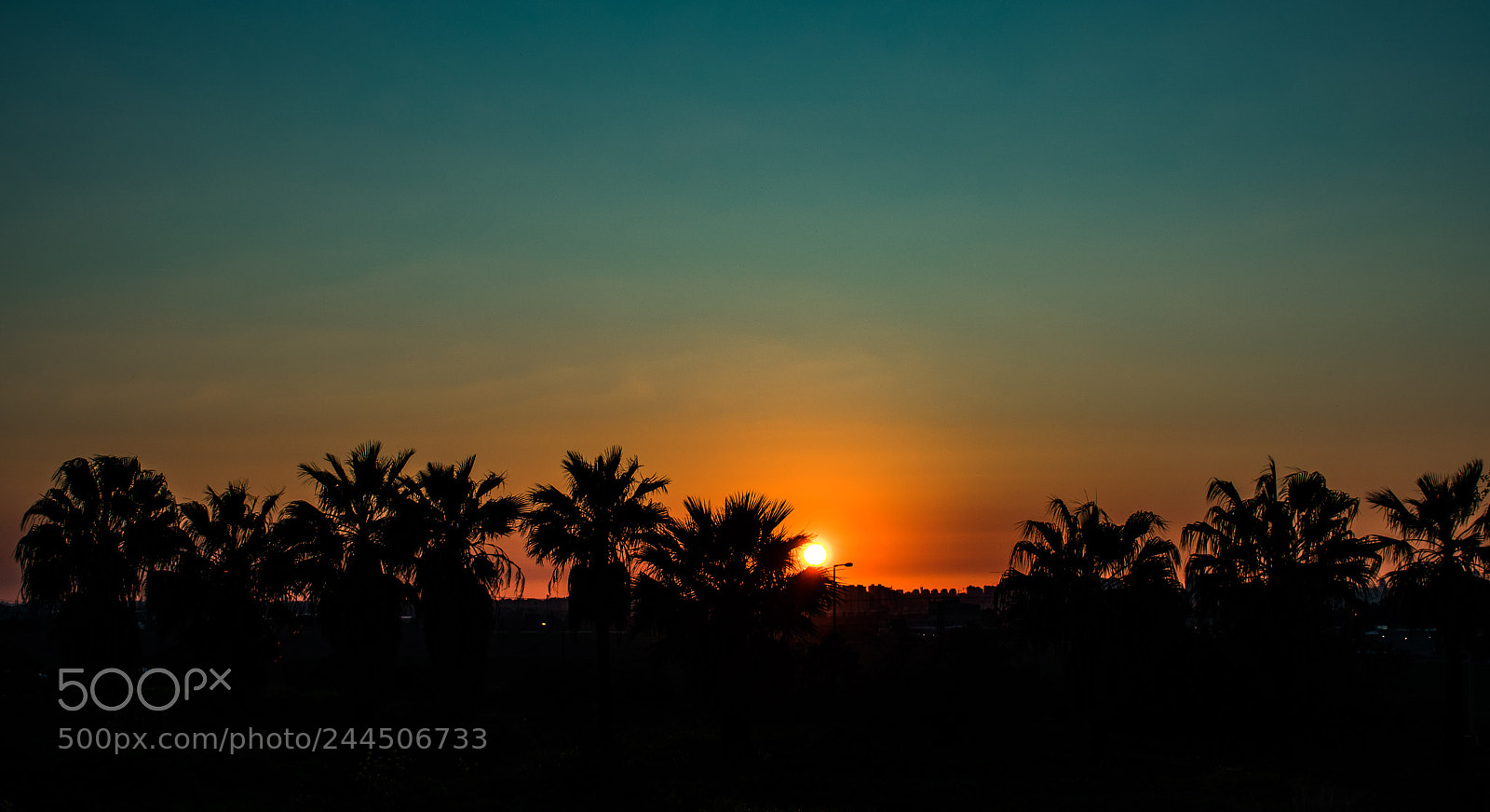 Nikon D3400 sample photo. Trees sunset photography