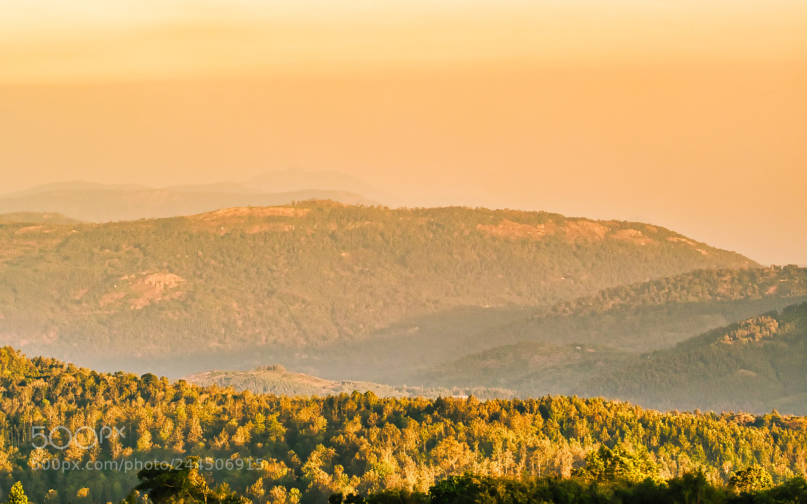 Olympus OM-D E-M10 II sample photo. Mountain of gold photography