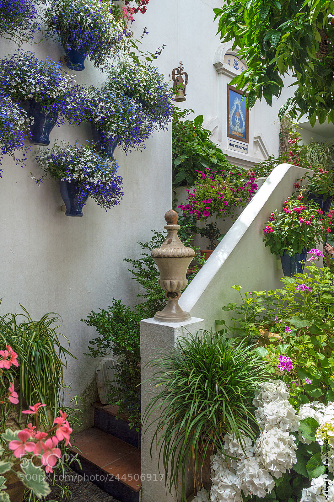 Nikon D3200 sample photo. Patios de co rdoba photography