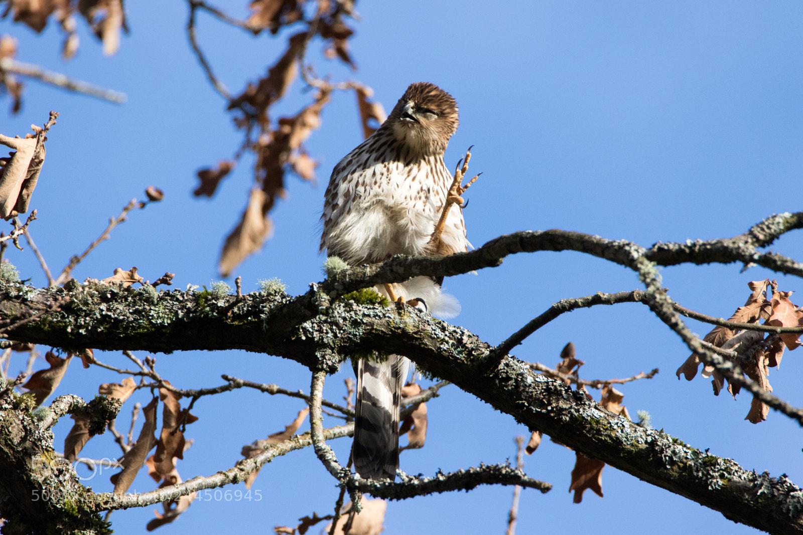 Canon EOS 7D Mark II sample photo. 1438.jpg photography