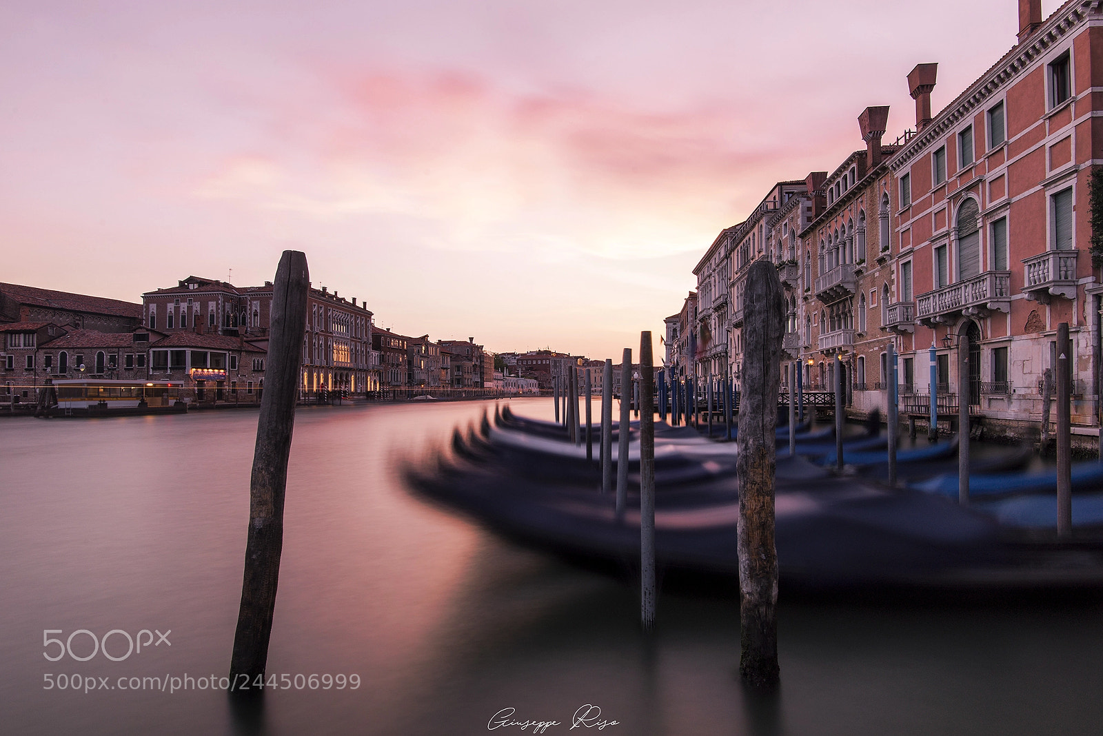 Nikon D610 sample photo. Red venice photography