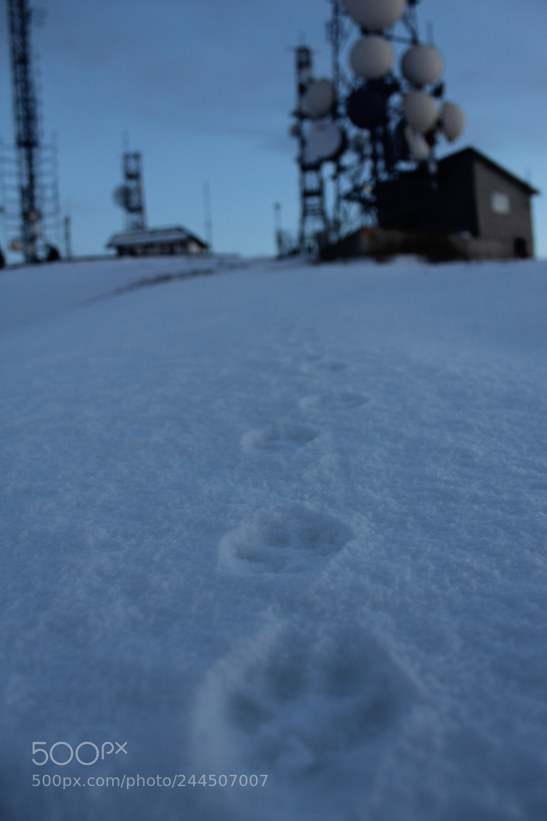Canon EOS 1200D (EOS Rebel T5 / EOS Kiss X70 / EOS Hi) sample photo. Traces in the snow.. photography