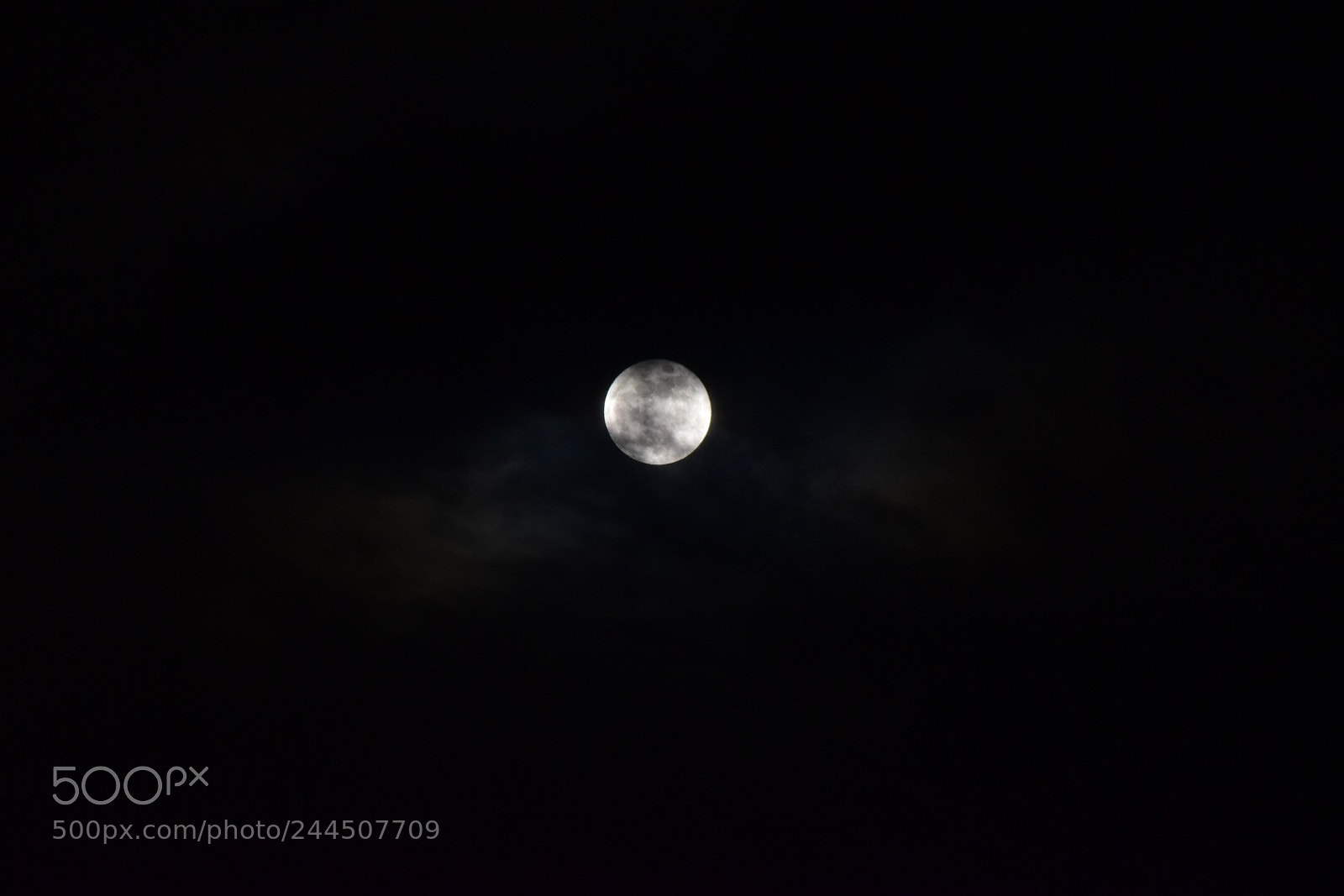 Nikon D5500 sample photo. Moon photography