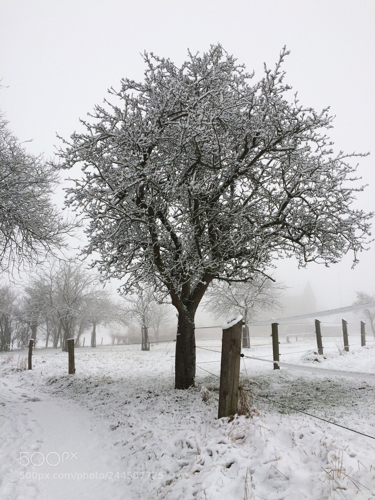 Apple iPhone 5s sample photo. Landscape on a snow photography