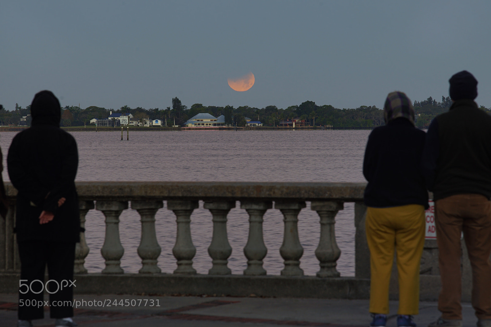 Sony a7 II sample photo. Watching themoon photography