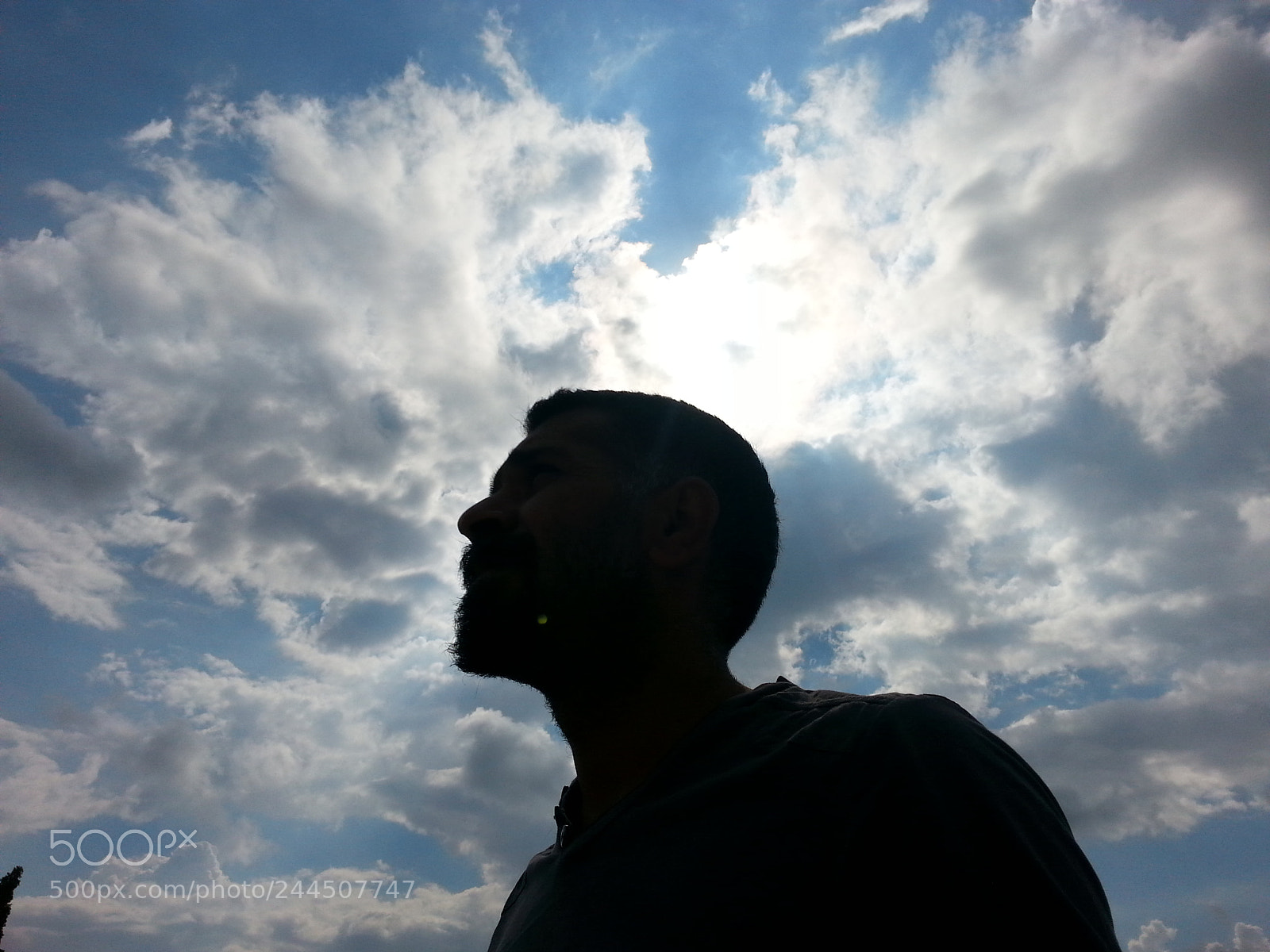 Samsung Galaxy S3 sample photo. Untitled photography