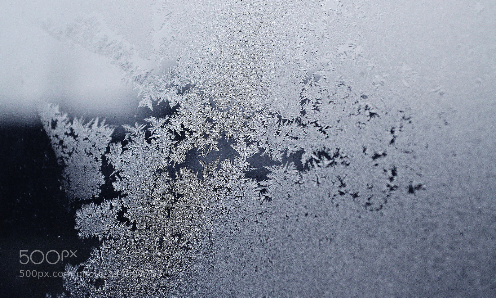 Nikon D5100 sample photo. Frozen snowflakes photography
