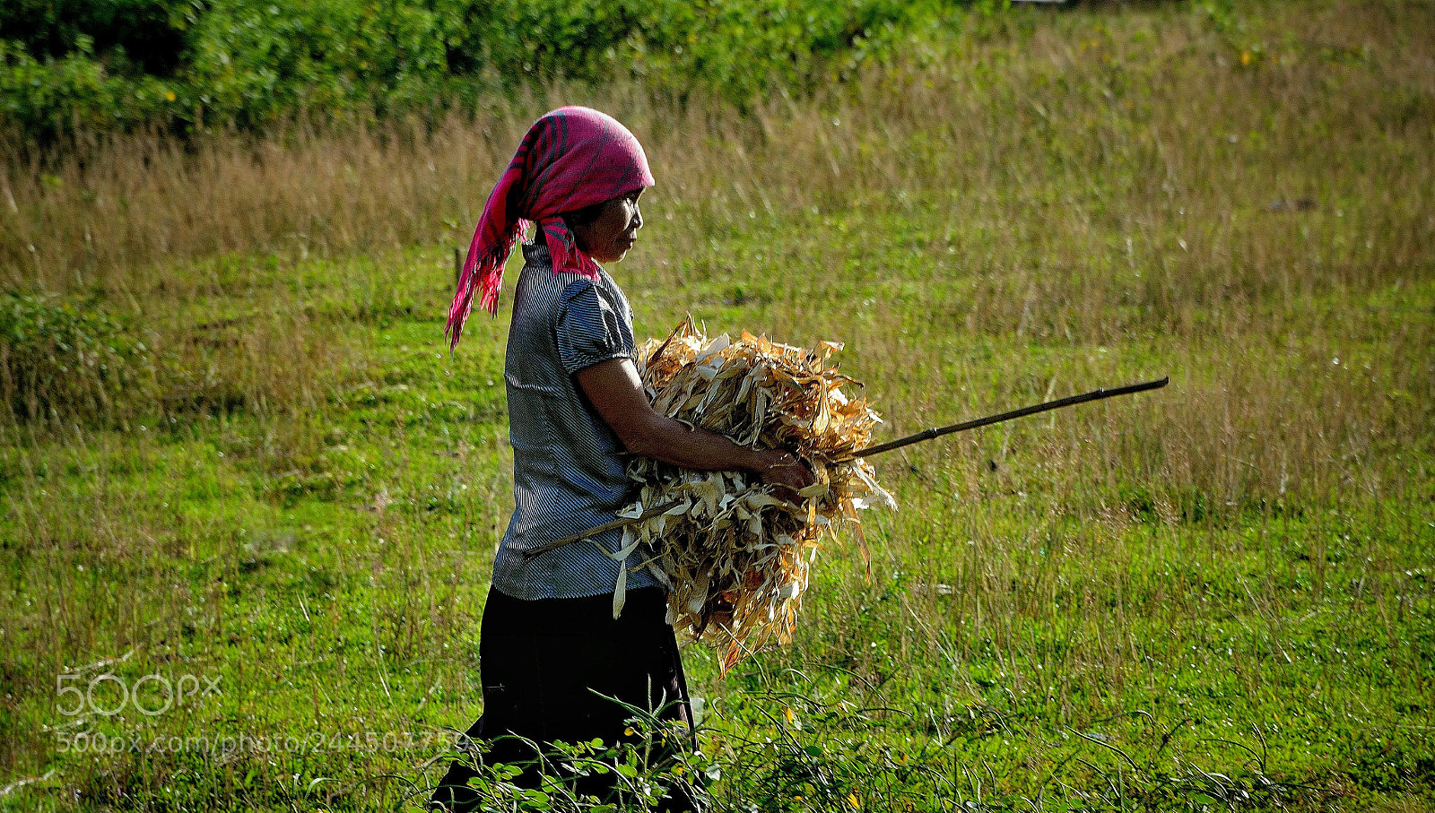 Nikon D3200 sample photo. Untitled photography