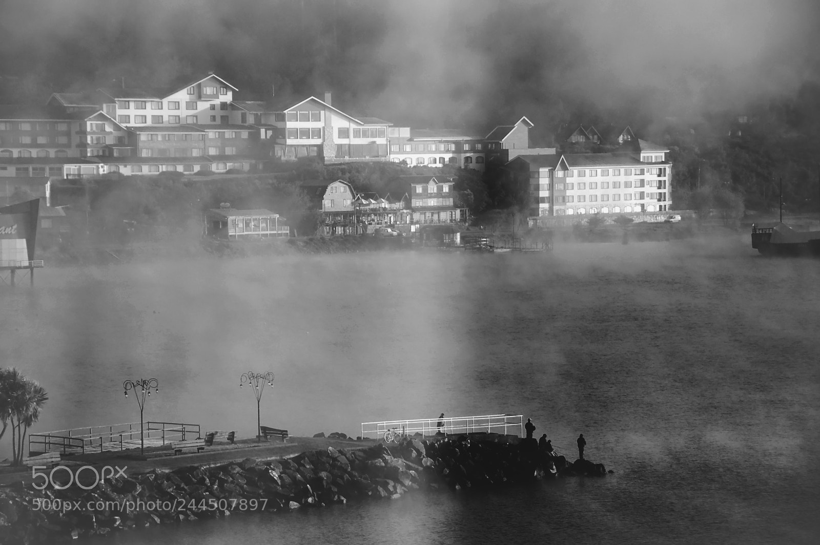 Nikon D50 sample photo. Foggy morning... photography