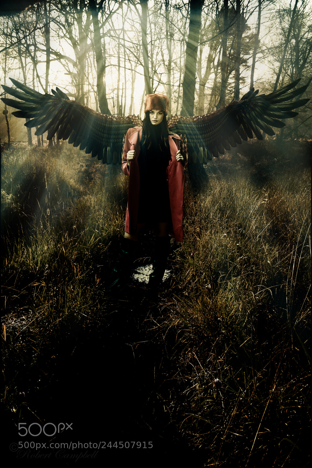 Canon EOS 50D sample photo. The dark angel photography