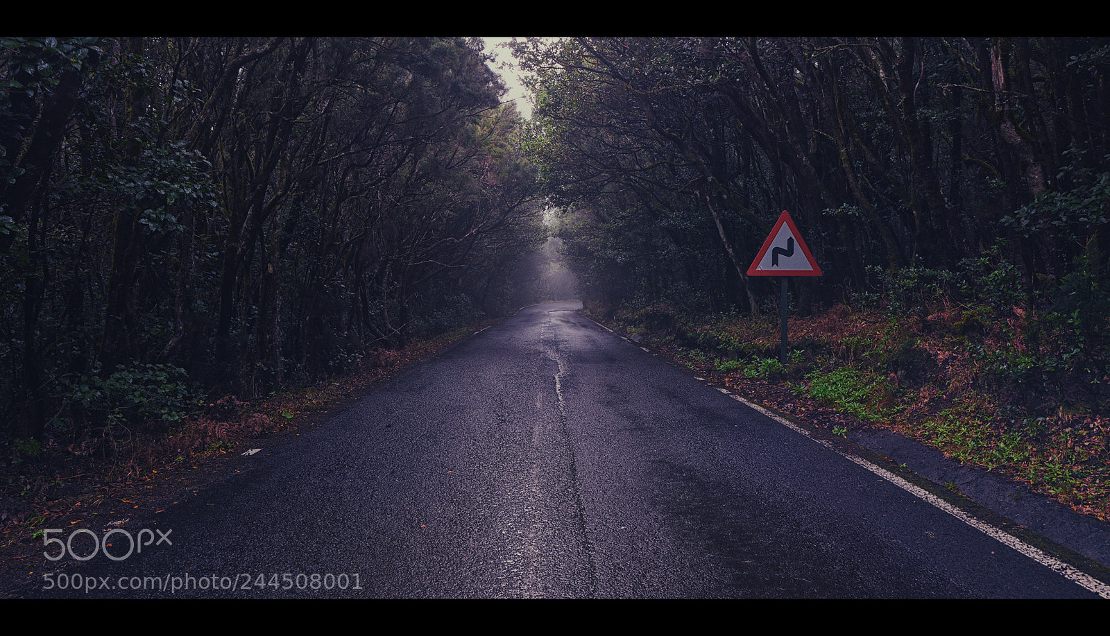 Nikon D810 sample photo. Dangerous curve... photography