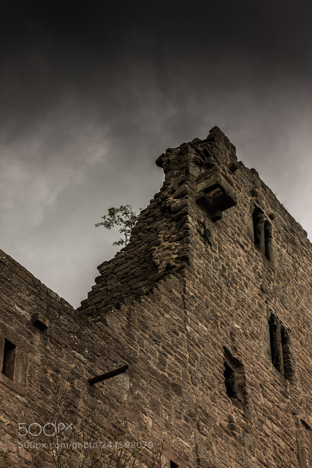 Canon EOS 1100D (EOS Rebel T3 / EOS Kiss X50) sample photo. Wall of a destroyed photography