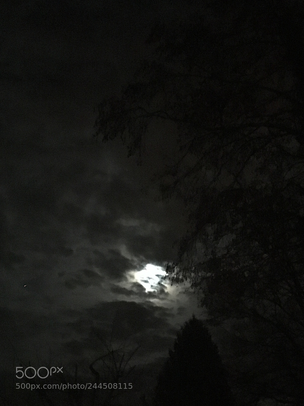 Apple iPhone SE sample photo. Untitled photography