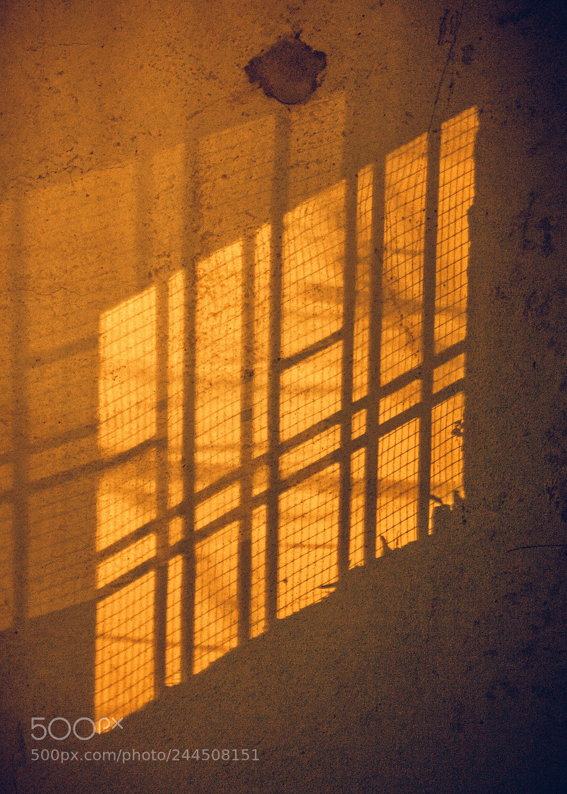 Sony a7 II sample photo. 024/365: wall photography