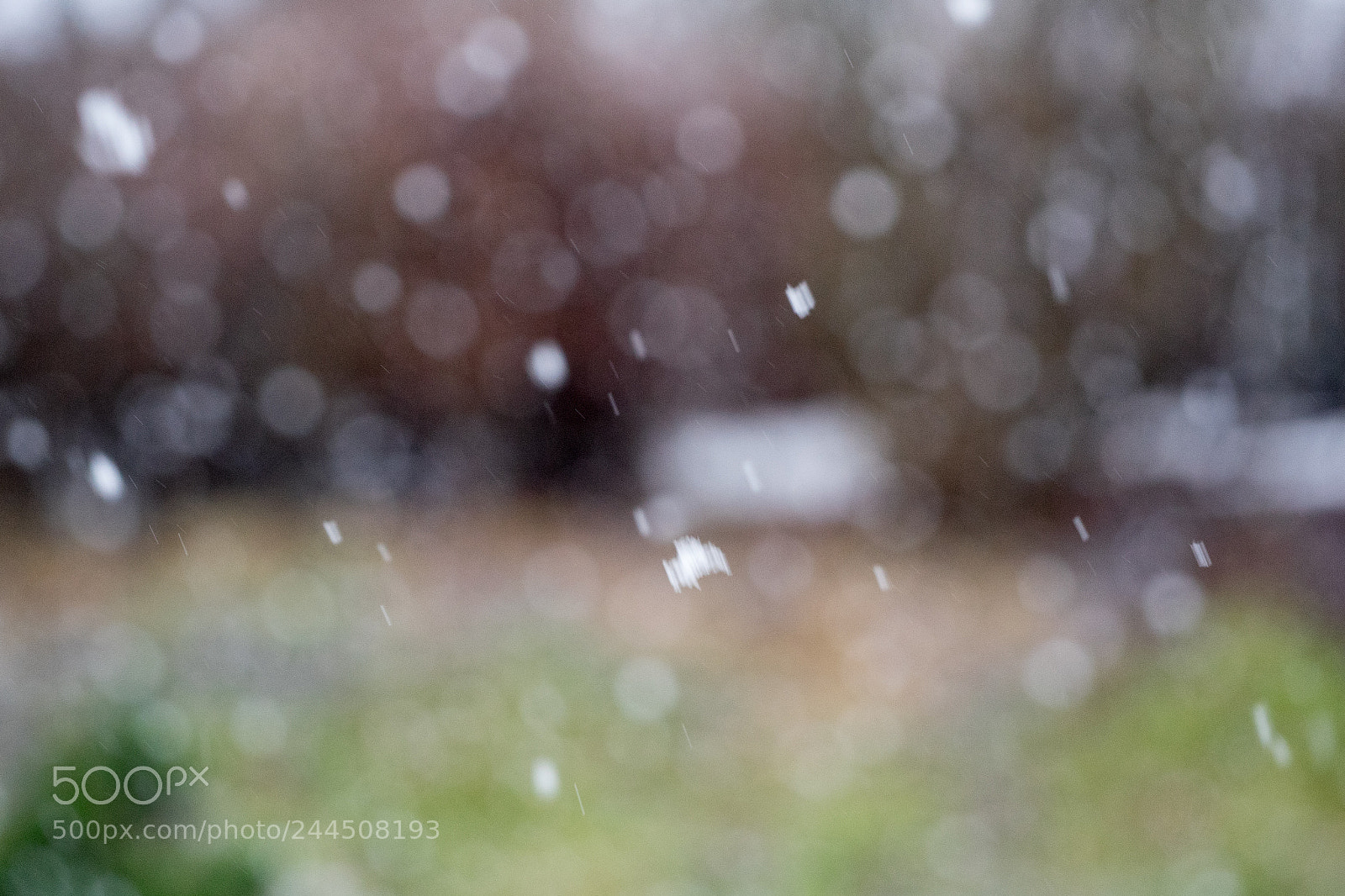 Sony a7 II sample photo. 027/365: snowing photography