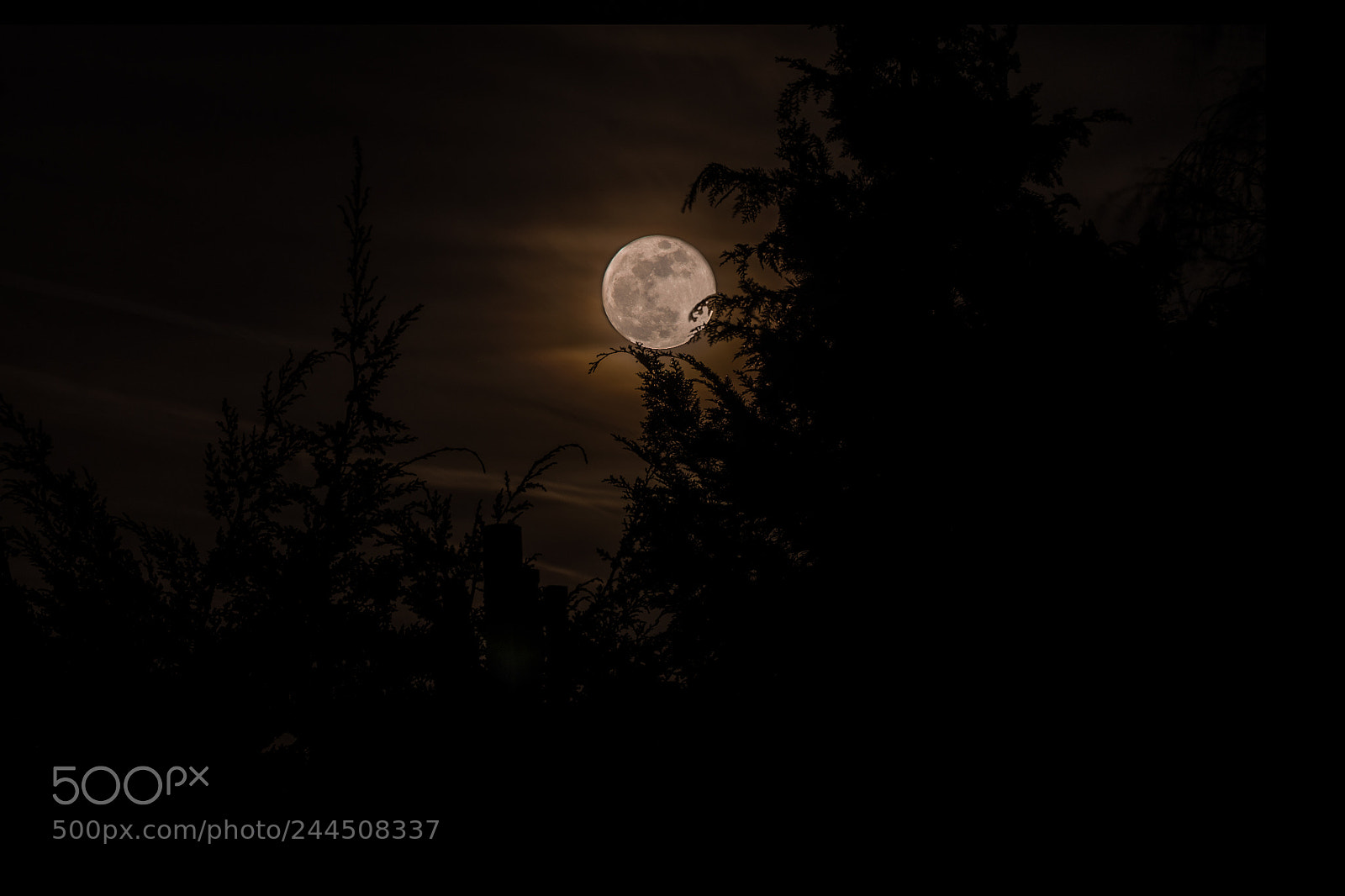 Canon EOS 1100D (EOS Rebel T3 / EOS Kiss X50) sample photo. 150 jahre vollmond photography