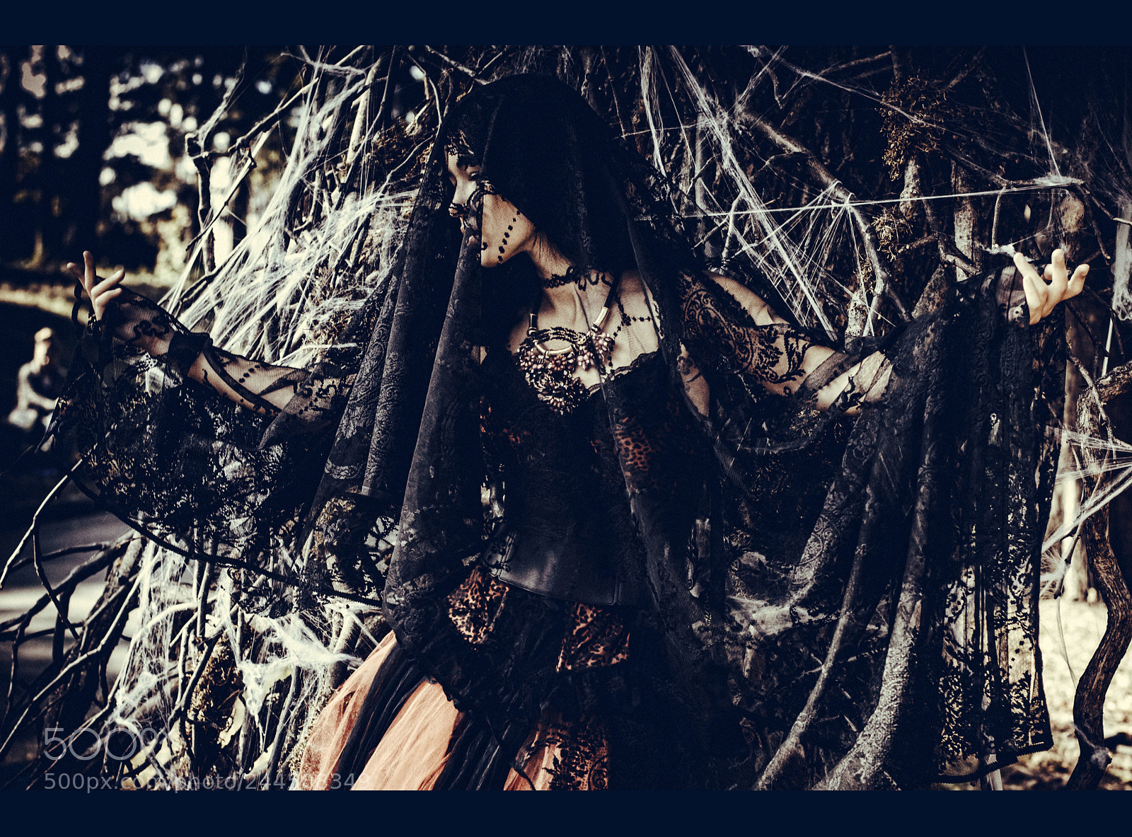 Nikon D3200 sample photo. Black widow photography