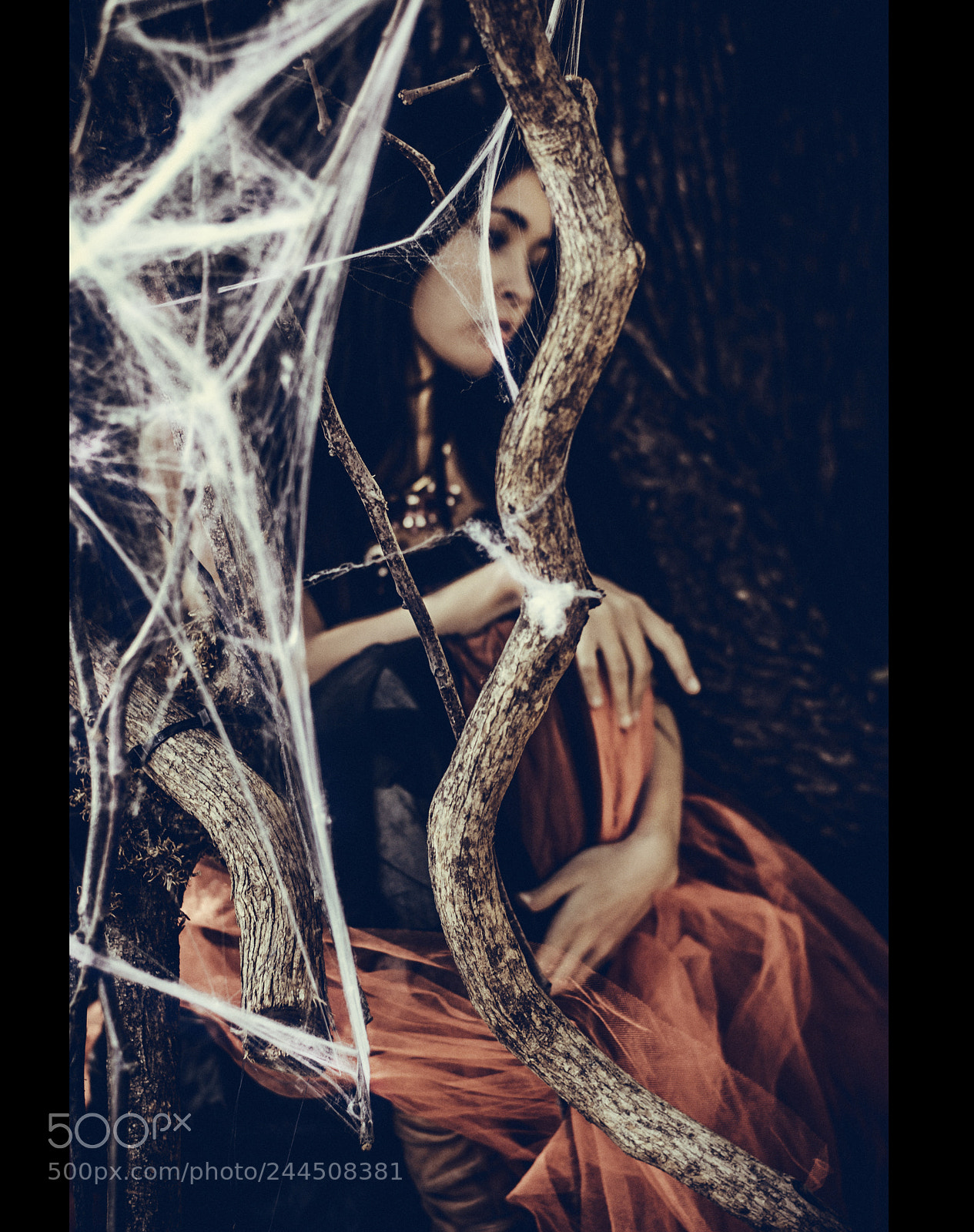 Nikon D3200 sample photo. Black widow photography