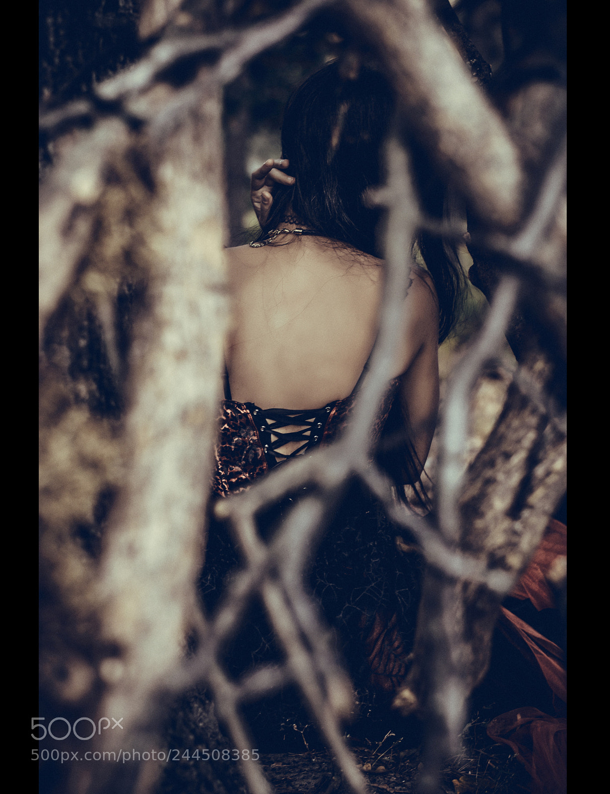 Nikon D3200 sample photo. Black widow photography
