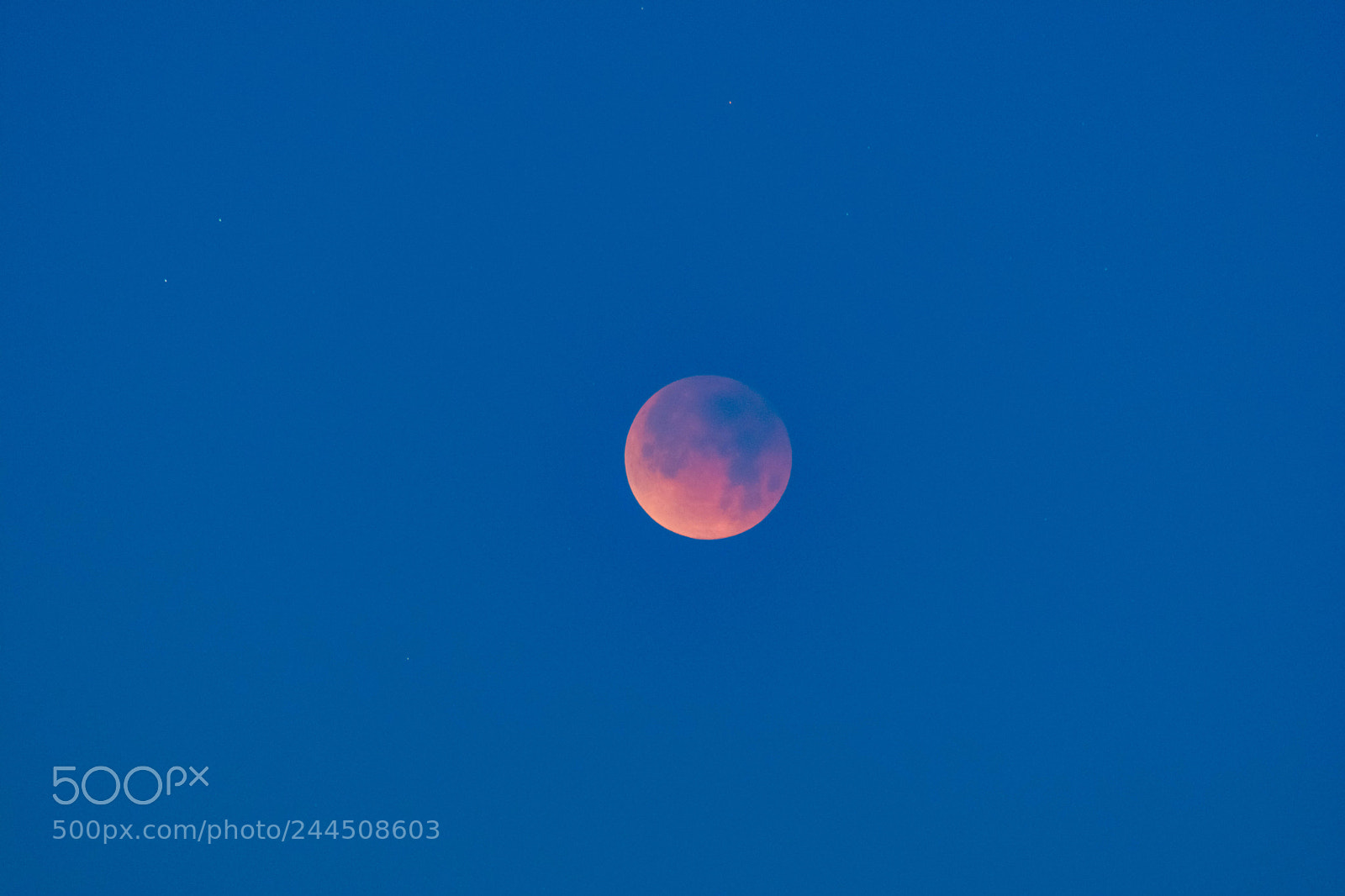 Nikon D7100 sample photo. Blood moon 2018 photography