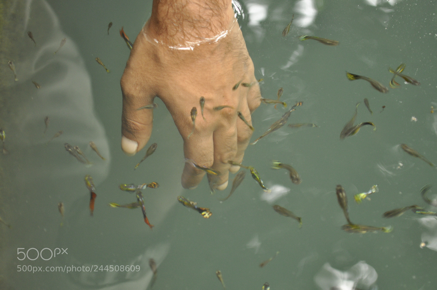 Nikon D90 sample photo. Untitled photography