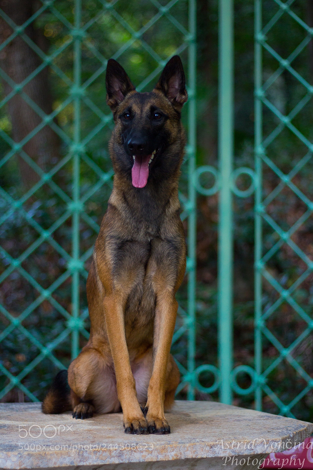 Canon EOS 650D (EOS Rebel T4i / EOS Kiss X6i) sample photo. Can i be a photography