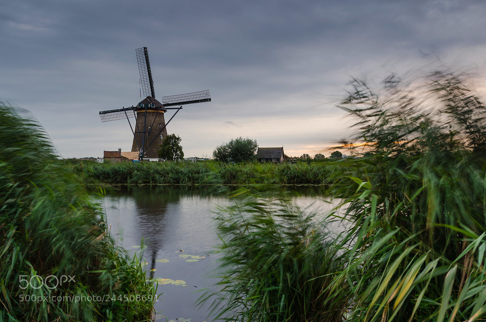 Nikon D5100 sample photo. Kinderdijk photography