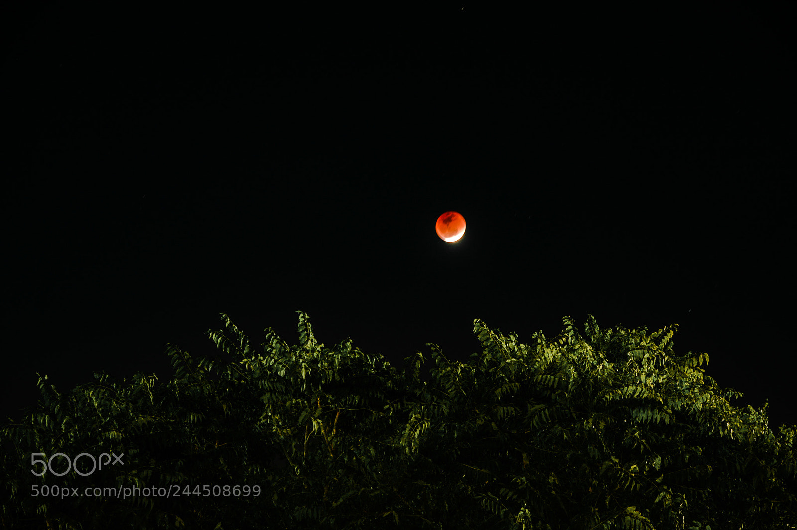 Nikon D3200 sample photo. Blood moon photography