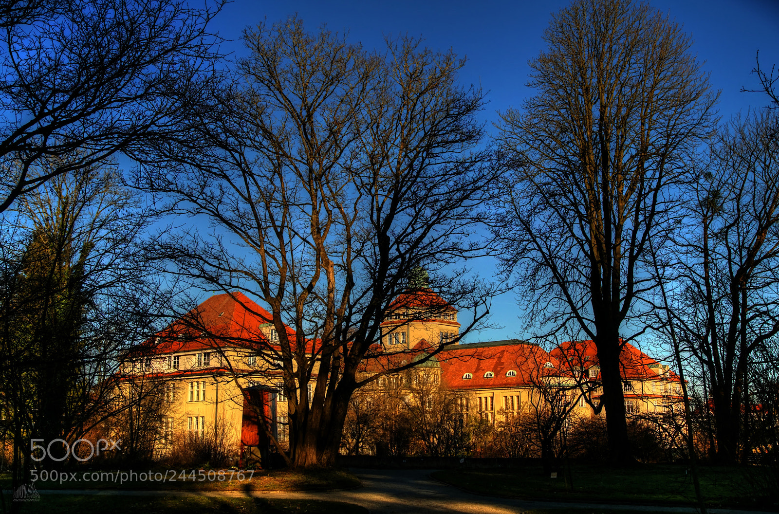 Sony ILCA-77M2 sample photo. Botanical institute munich photography