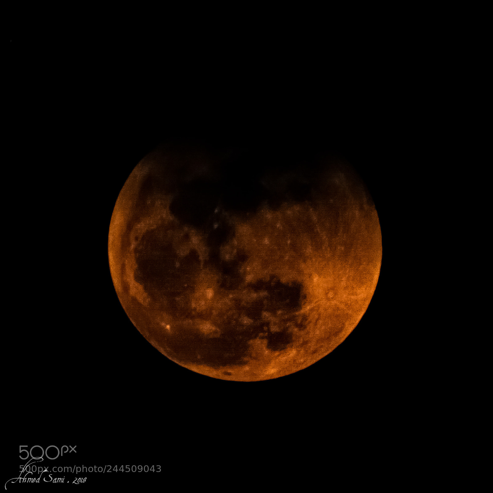 Nikon D7100 sample photo. Blood moon photography