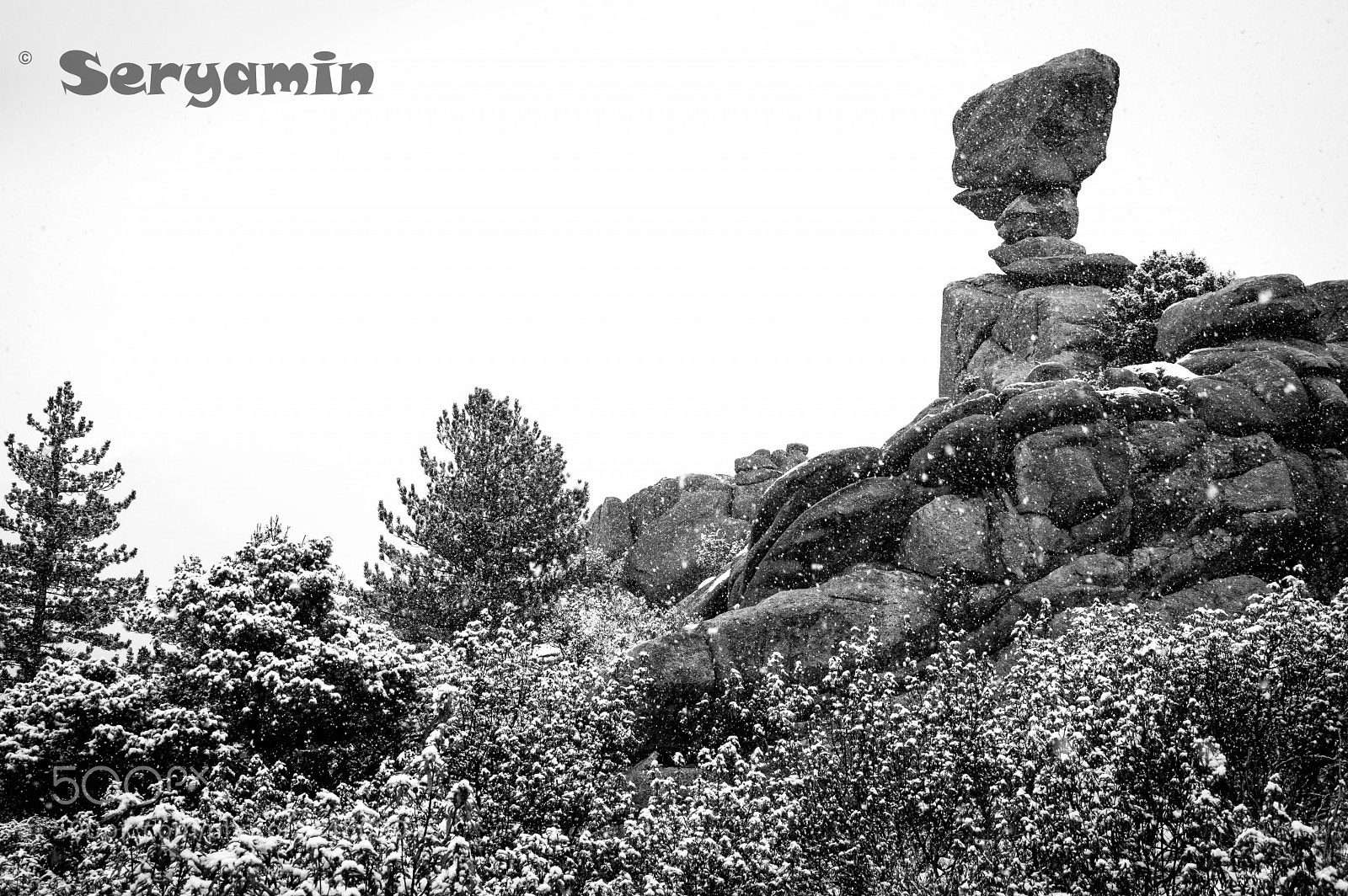Nikon D3200 sample photo. B&w photography