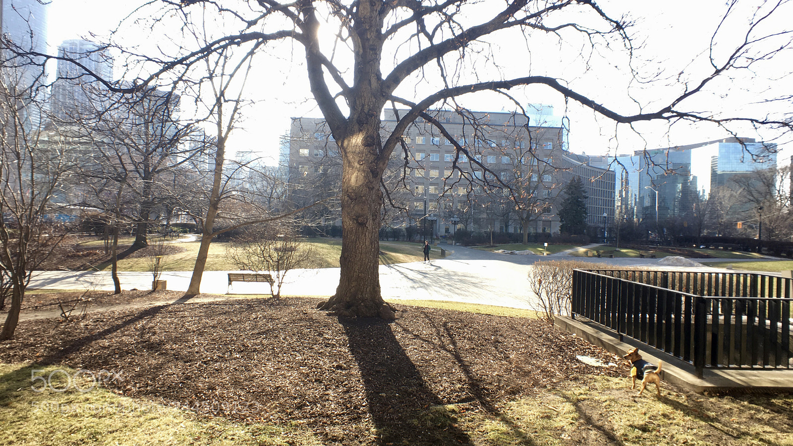 Apple iPhone 6s sample photo. #wideangle #springinjanuary photography