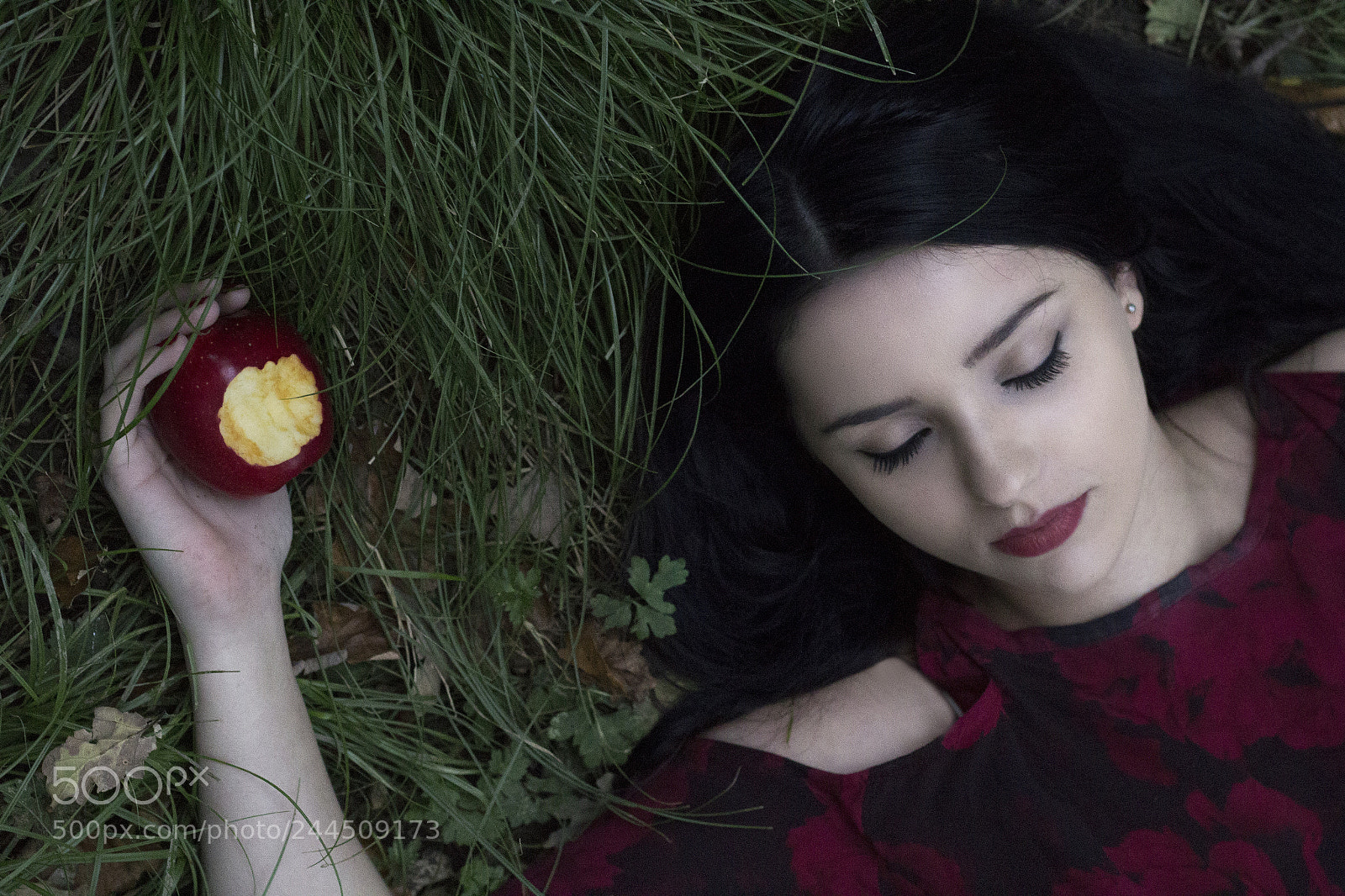 Canon EOS 1200D (EOS Rebel T5 / EOS Kiss X70 / EOS Hi) sample photo. Poisoned snow white photography