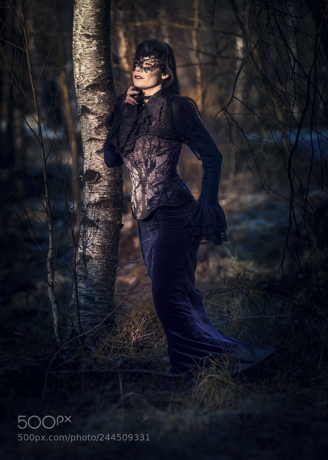 Nikon D810 sample photo. Im wald photography